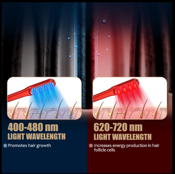 Laser Hair Growth Comb, Red Li - Hair Care Products ulasan dan harga